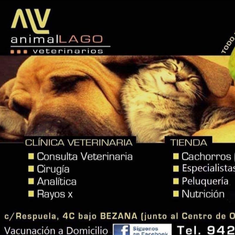 animalLAGO VETERINARIOS